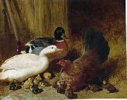 unknow artist Poultry 086 oil painting on canvas